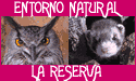 Promociones 